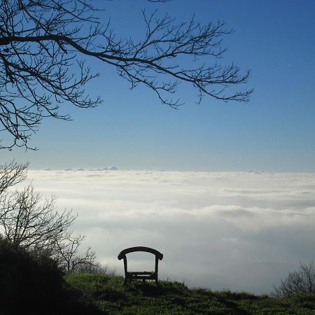 Bed and Breakfast Montalma Monchique Esterno foto